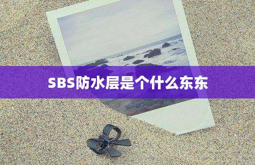 SBS防水层是个什么东东