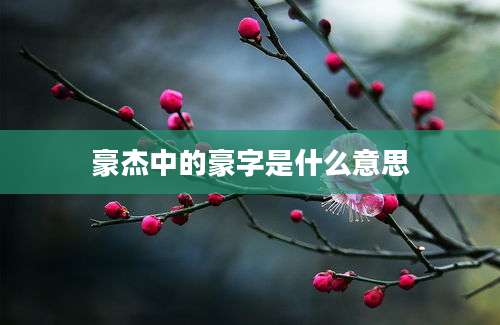 豪杰中的豪字是什么意思