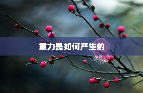 重力是如何产生的