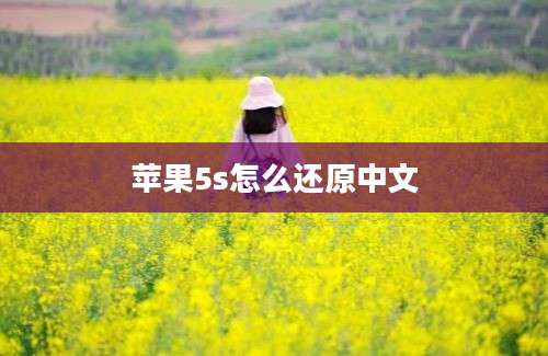 苹果5s怎么还原中文