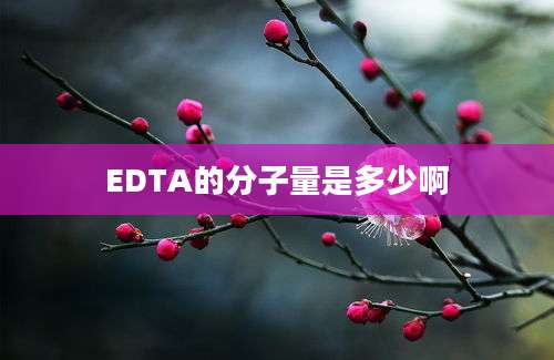 EDTA的分子量是多少啊