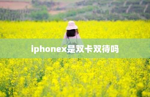 iphonex是双卡双待吗