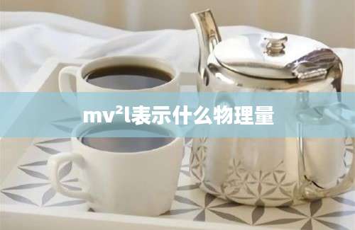 mv²l表示什么物理量