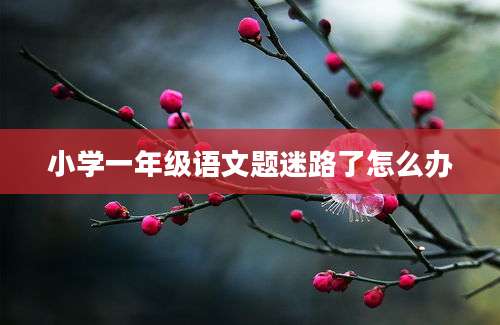 小学一年级语文题迷路了怎么办