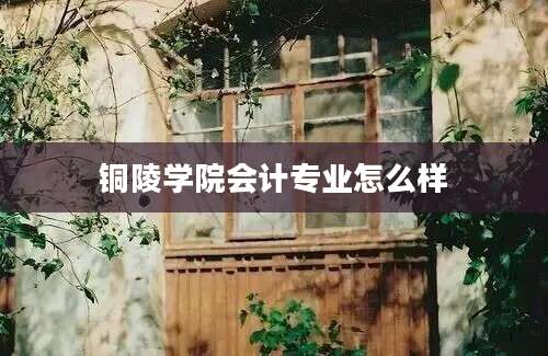 铜陵学院会计专业怎么样