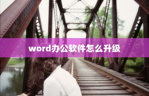 word办公软件怎么升级