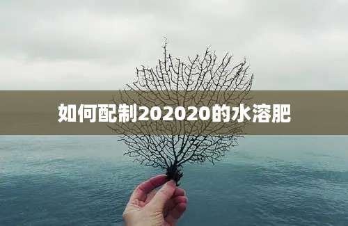 如何配制202020的水溶肥