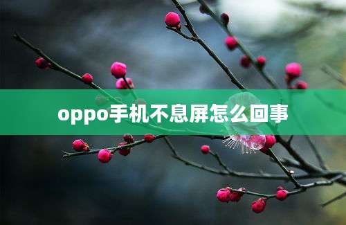 oppo手机不息屏怎么回事