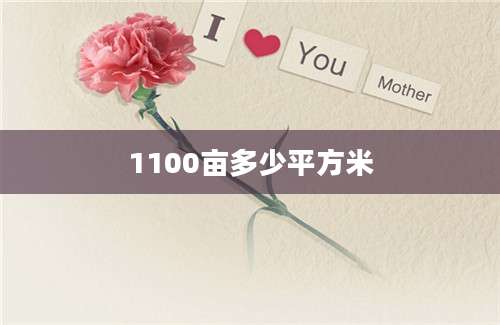 1100亩多少平方米