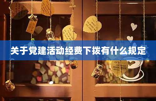 关于党建活动经费下拨有什么规定