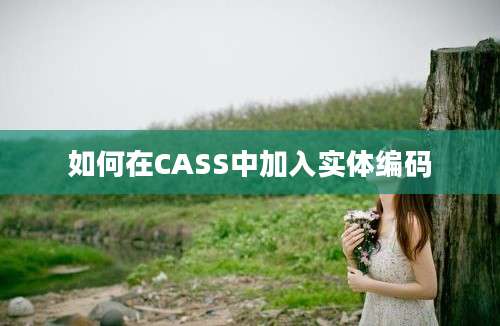 如何在CASS中加入实体编码