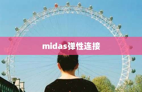 midas弹性连接