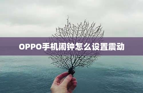 OPPO手机闹钟怎么设置震动