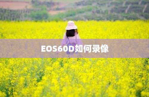 EOS60D如何录像