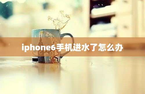 iphone6手机进水了怎么办