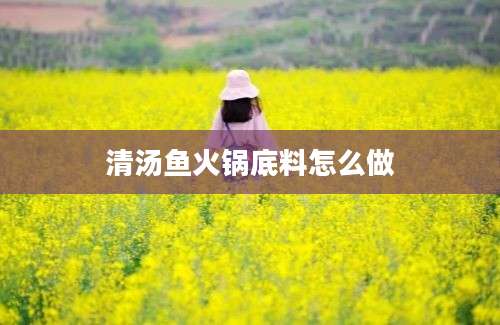 清汤鱼火锅底料怎么做