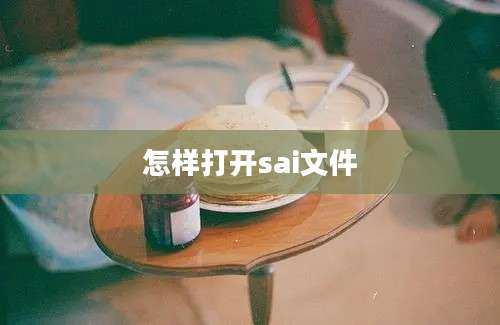 怎样打开sai文件