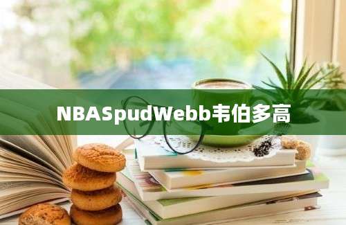 NBASpudWebb韦伯多高