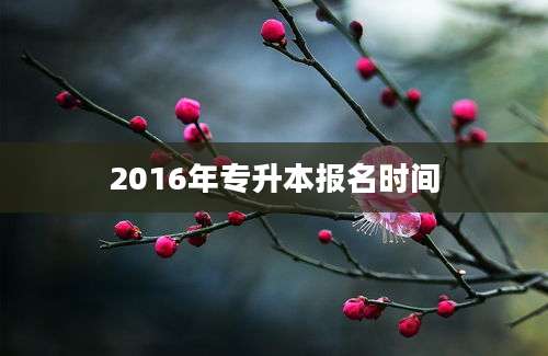 2016年专升本报名时间