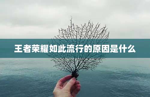 王者荣耀如此流行的原因是什么