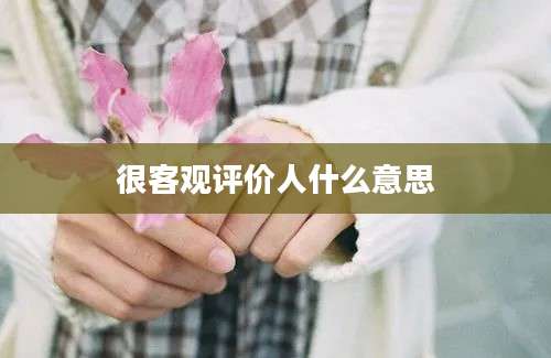 很客观评价人什么意思