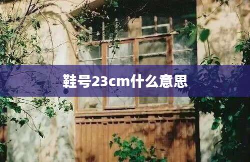 鞋号23cm什么意思