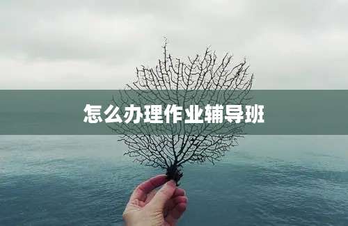 怎么办理作业辅导班