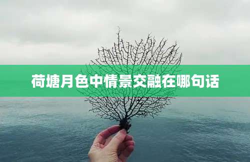 荷塘月色中情景交融在哪句话