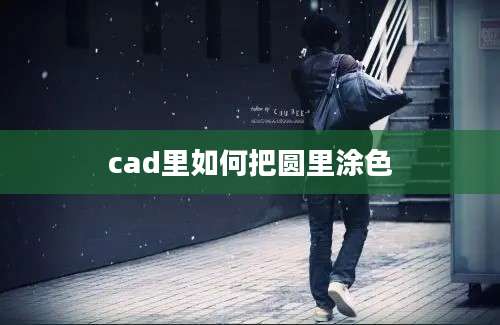 cad里如何把圆里涂色