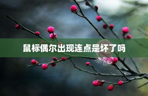 鼠标偶尔出现连点是坏了吗