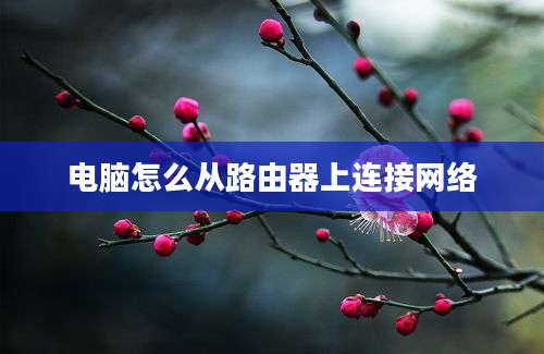 电脑怎么从路由器上连接网络