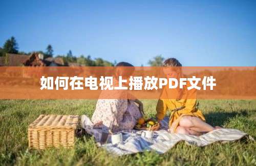 如何在电视上播放PDF文件