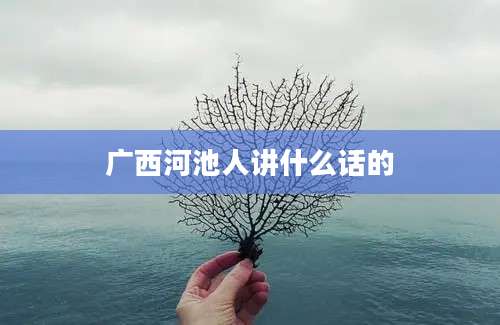 广西河池人讲什么话的