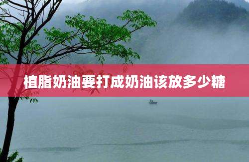 植脂奶油要打成奶油该放多少糖