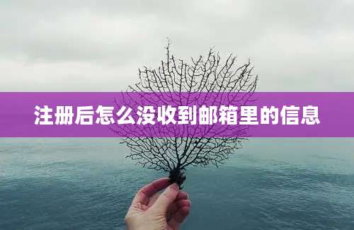 注册后怎么没收到邮箱里的信息