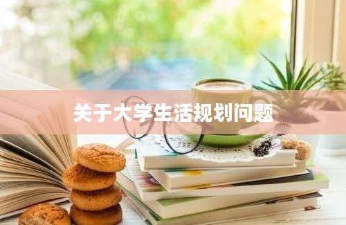 关于大学生活规划问题