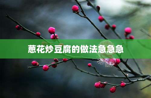 葱花炒豆腐的做法急急急