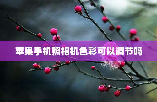 苹果手机照相机色彩可以调节吗