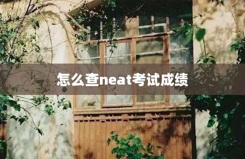 怎么查neat考试成绩