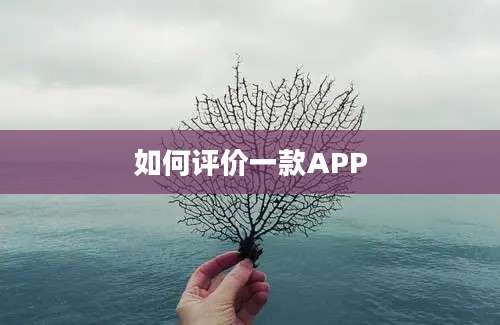 如何评价一款APP