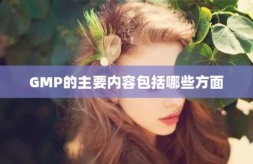 GMP的主要内容包括哪些方面