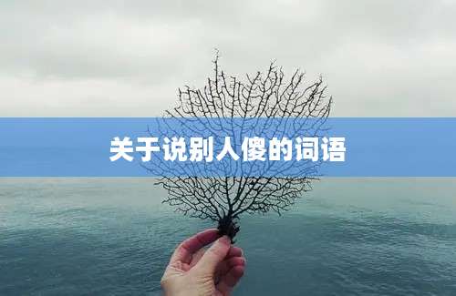 关于说别人傻的词语