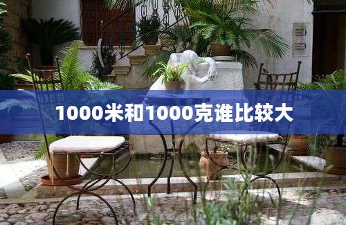 1000米和1000克谁比较大