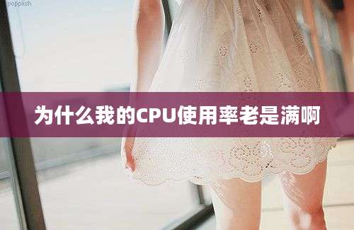 为什么我的CPU使用率老是满啊