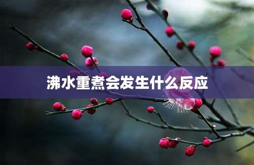 沸水重煮会发生什么反应