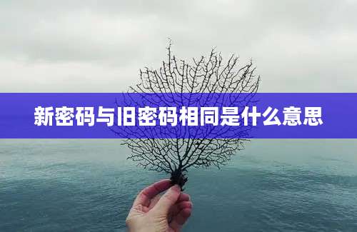 新密码与旧密码相同是什么意思