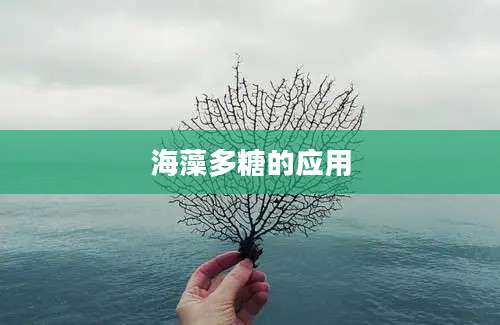 海藻多糖的应用