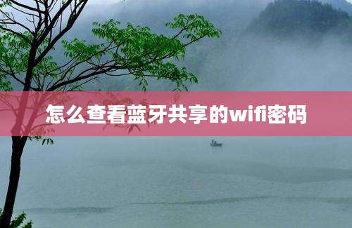 怎么查看蓝牙共享的wifi密码