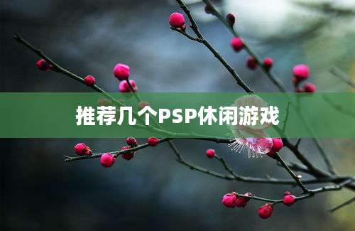 推荐几个PSP休闲游戏