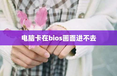 电脑卡在bios画面进不去